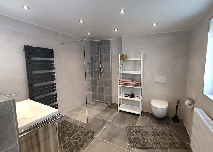 Antweiler Oberburg 梅谢尼希